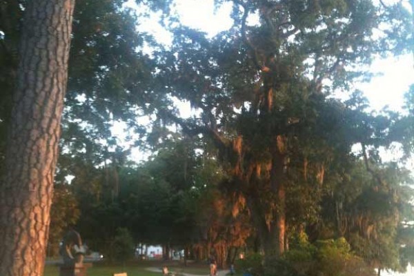 [Image: Quiet Fairhope Cottage Nestled Under Live Oaks, 1 Block from Downtown]