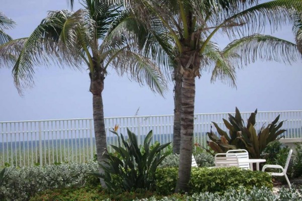 [Image: Paradise on the Beach - Direct Beachfront Condominium!!]