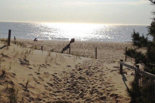 [Image: Direct Oceanfront Bordering Delaware Seashore State Park! One of a Kind!]