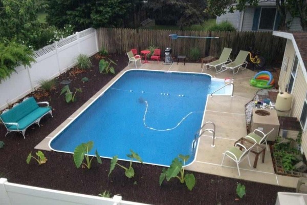 [Image: 3 Blocks to Beach, Largest Pool in Town, 320 Laurel St - Love Dogs]