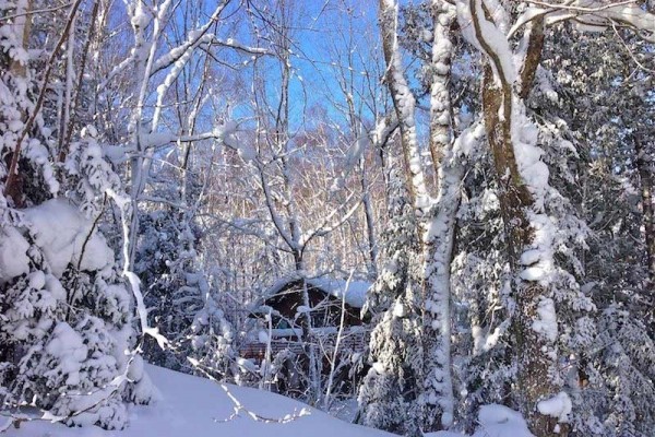 [Image: Beautiful Cabin in the Woods Near Bayfield, Next to Raspberry Bay]