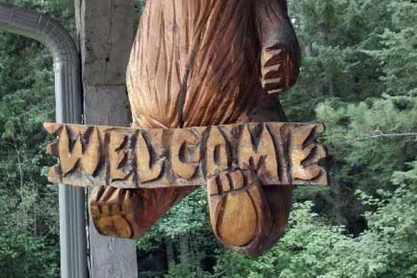 [Image: Authentic Finish Style Log Home on Cranberry River]