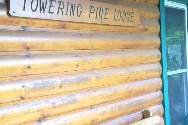 [Image: Towering Pine Cabin on Red Cedar Lake]
