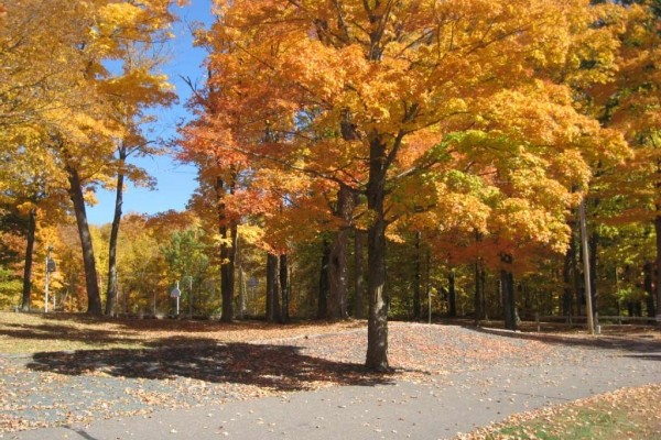 [Image: Enjoy a Private, Spacious, Resort-Like Experience-Hayward, Wi]