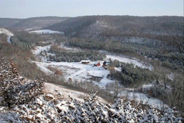 [Image: 66 Acres Nestled in a Wooded Valley Near Lake Pepin]