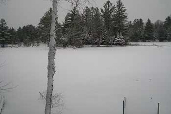 [Image: Turtle Flambeau Flowage Family Recreational Cabin Retreat]