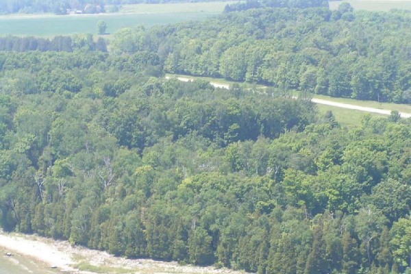 [Image: Lake, Private Land &amp; Expansive Beach!]