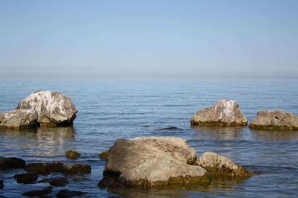 [Image: Lake, Private Land &amp; Expansive Beach!]