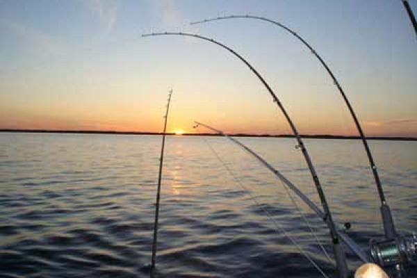 [Image: Free Lake Michigan Sunrises, Room to Sprawl &amp; Relax]