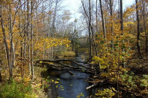 [Image: Jungs Condo Resort 2 BR 1 BA Northwoods Cabin on High Lake Boulder Junction Wi]