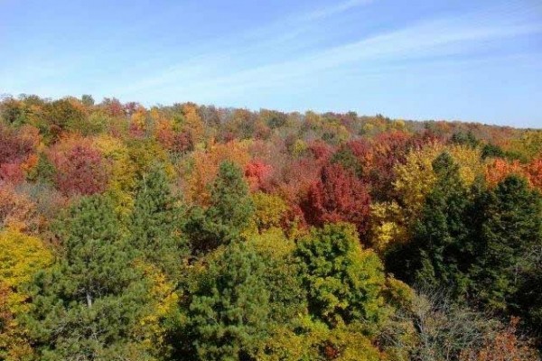 [Image: Jungs Condo Resort 2 BR 1 BA Northwoods Cabin on High Lake Boulder Junction Wi]