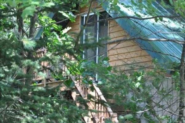 [Image: Fabulous Northwoods Cabin with Amenities &amp; Guesthouse!]