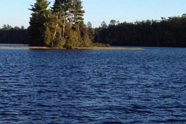 [Image: Ferns - Fisherman and Family-Friendly Cabin on the Shore of North Trout Lake.]