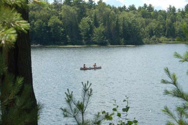 [Image: Northwoods Cabin on Wildcat Lake - Pets Stay Free - Free Wifi]