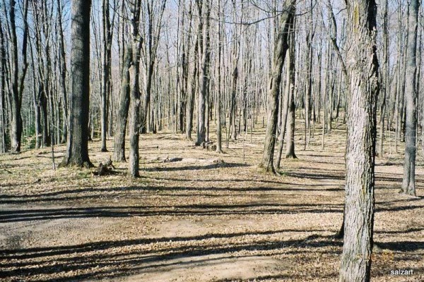 [Image: Off the Beaten Path on Lake Noquebay-Woods, Privacy and Dark Nights!]