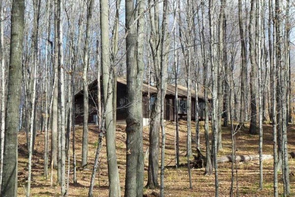 [Image: Off the Beaten Path on Lake Noquebay-Woods, Privacy and Dark Nights!]