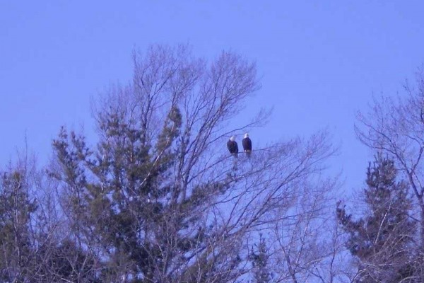 [Image: Off the Beaten Path on Lake Noquebay-Woods, Privacy and Dark Nights!]