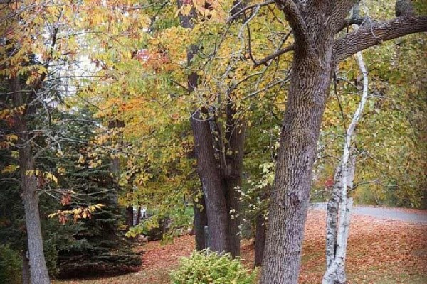 [Image: La Bella Casa Di Mattoni, 3 Bedroom Cottage on the Bay in Southern Door County]