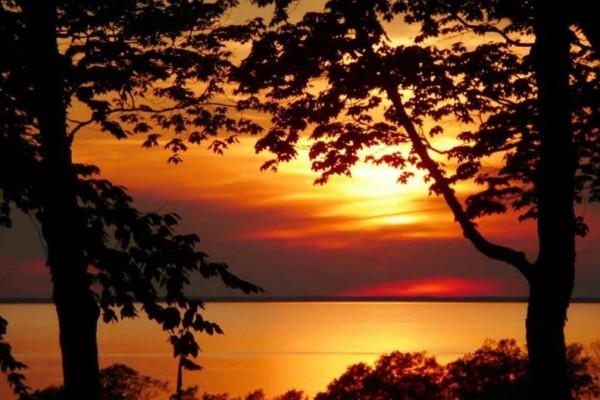 [Image: 'Best Sunset View' Dc Can Offer! Not Your Ordinary Rental!]