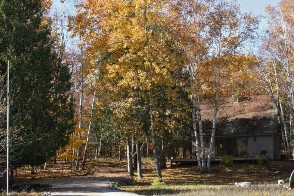 [Image: 5 Beautiful Wooded Acres in the Heart of Door County!]