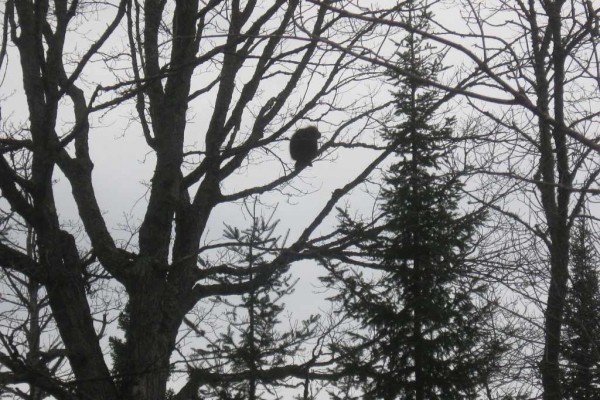 [Image: Relax, Restore, Revitalize at Little Trout Lake]