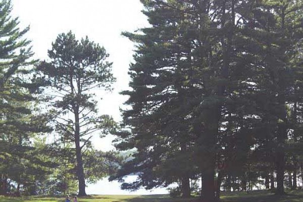 [Image: Year-Around Home on the Manitowish Chain of Lakes]