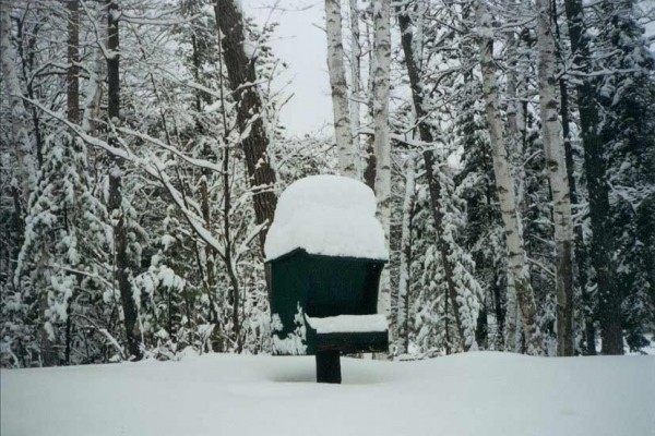 [Image: Beautiful Log Cabin on Vance Lake with Access to Sturgeon Lake]