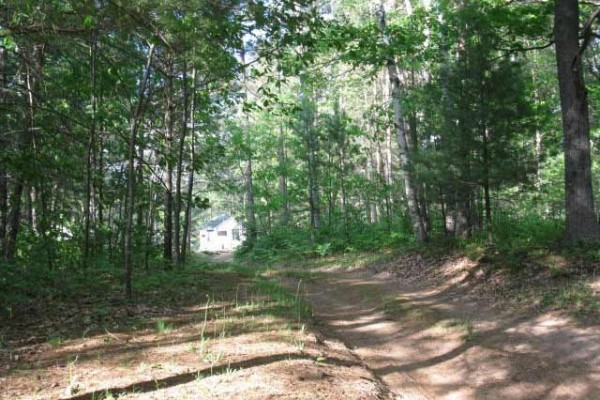 [Image: Manitowish Chainof10 Lakes-May-Oct-Boat,Pier,Qubed,Priv,Freenetflix,Sc-Porch,Wif]