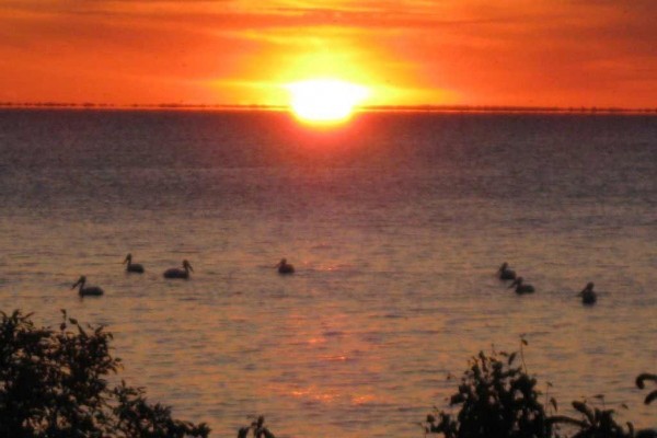 [Image: Book for Fall Now! Private-Waterfront-Sunrise-Sunsets-10 Min. to Sturgeon Bay]