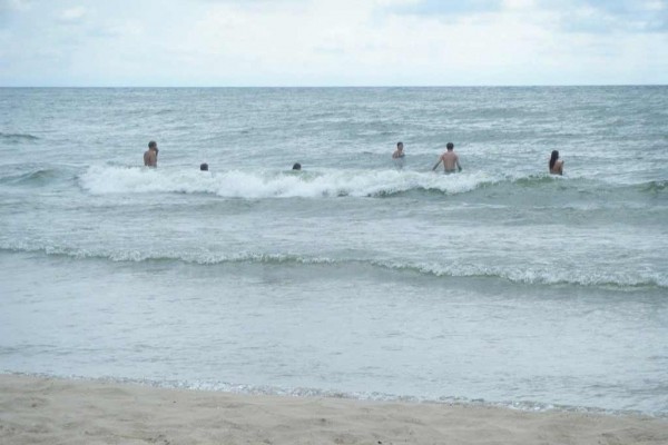 [Image: The Cottage on Lake Michigan â Large Sand Beach, Wooded Lot, Family Friendly]