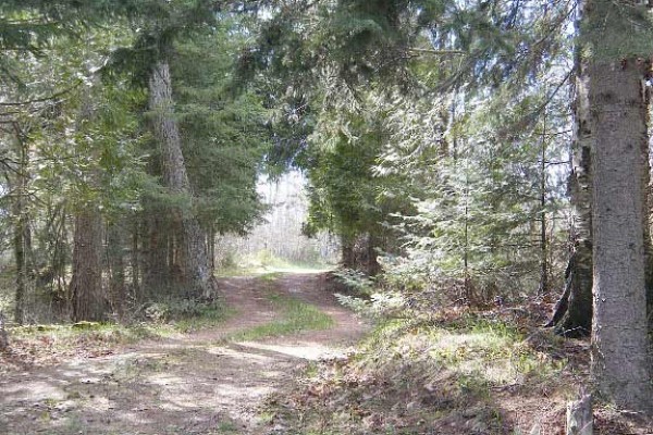 [Image: The Cottage on Lake Michigan â Large Sand Beach, Wooded Lot, Family Friendly]