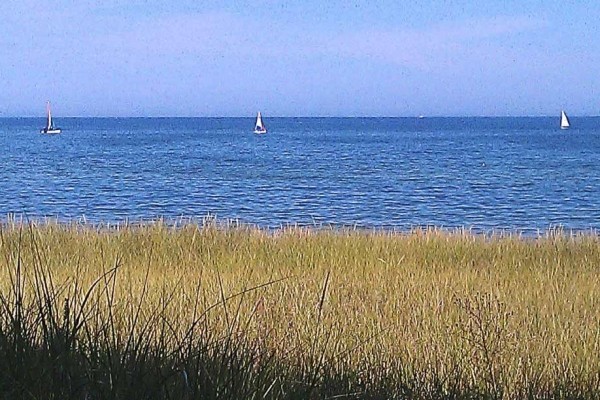 [Image: The Cottage on Lake Michigan â Large Sand Beach, Wooded Lot, Family Friendly]