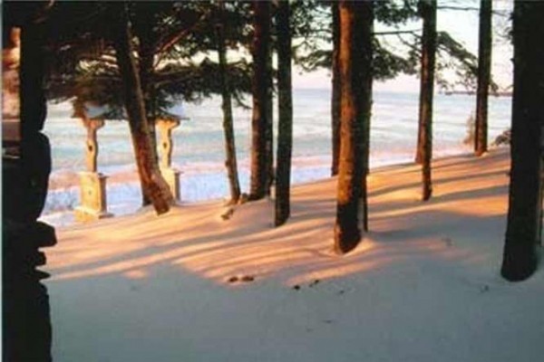 [Image: 8 Miles of Sand Beach and 1/2 Price Rates Monday-Thursday 9-6/15]