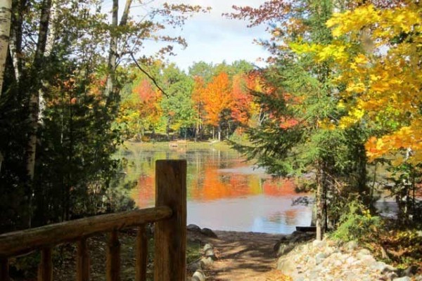 [Image: Rustic Wooded Lake Seclusion in a Cozy Log Cabin]