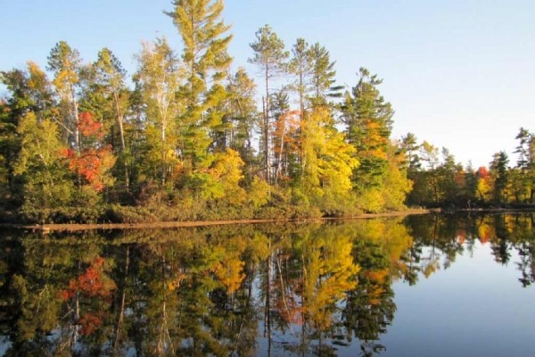 [Image: Rustic Wooded Lake Seclusion in a Cozy Log Cabin]