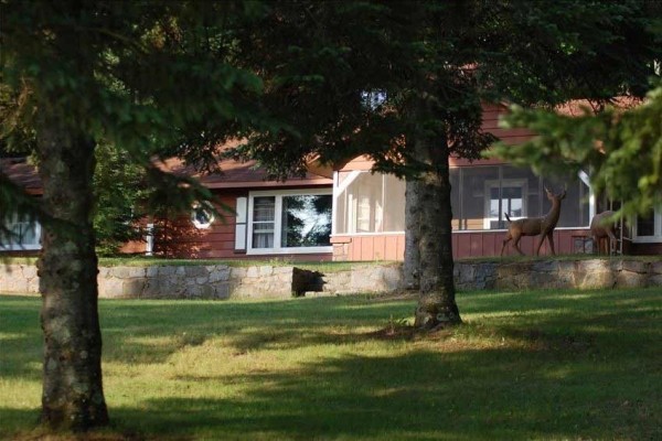 [Image: Majestic Northwoods Home Overlooking Beautiful Island Lake!]