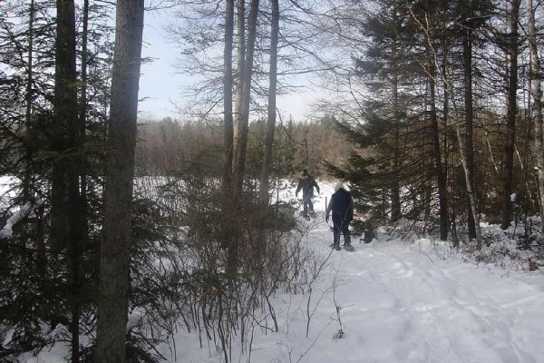 [Image: Peaceful, Quiet Retreat in the North Woods]