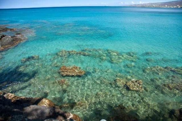 [Image: Beachfront/Oceanfront * Unique * Live Your Dream!]