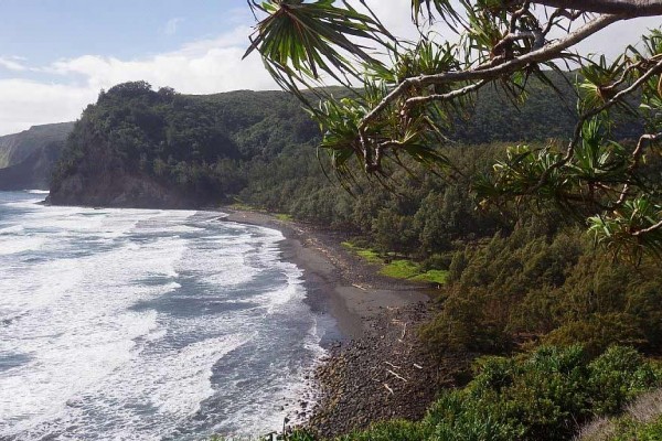 [Image: Fabulous Ocean/Coast Views, Privacy, Best Wai'Ula'Ula Condo]