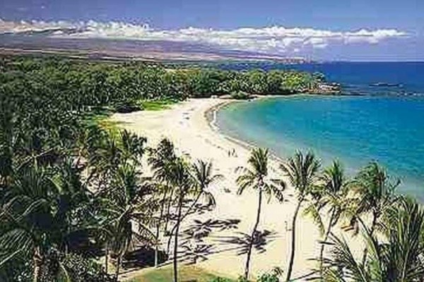 [Image: Top Mauna Kea Ocean-View Deal*Amenity Cards* Gas Grill *Upscale *$259*]