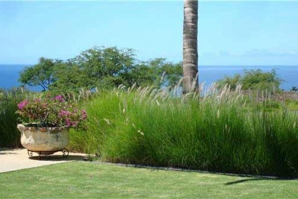 [Image: Mauna Kea Family Vacation Home! Minutes from Hapuna Beach! 7th Night Free!]