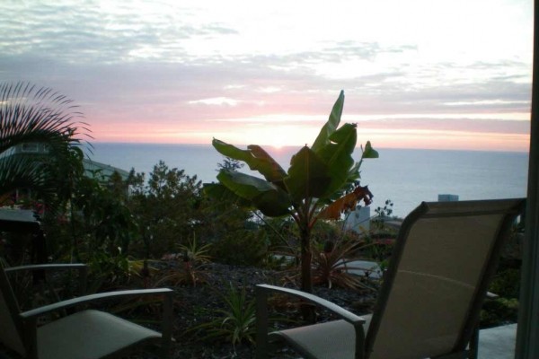 [Image: Pineapple Express Hawaii~Book Online~Ocean View~Private Hot Tub]