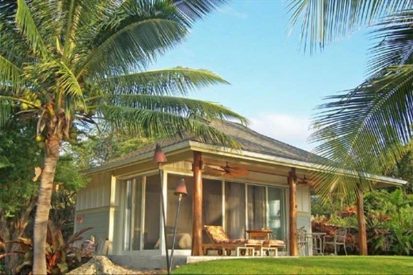 [Image: The Palm Bungalow- Luxurious Studio Hale in Kona!]