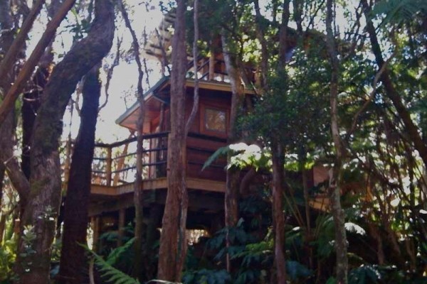 [Image: Exotic Treehouse at Kilauea Volcano]