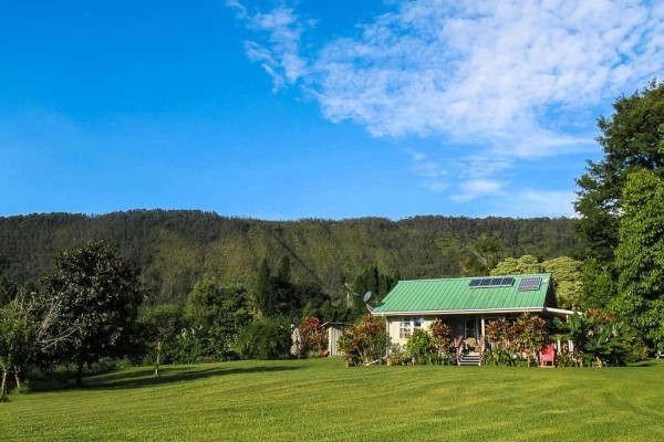 [Image: Romantic Honeymoon Cottage on Eight Secluded Acres All for U WiFi Book 6/1 Fr]