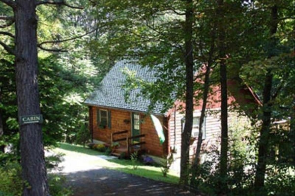 [Image: Luxurious Secluded, Pet-Friendly, Relaxing Log Cabin with Wifi, Netflix, Wii]
