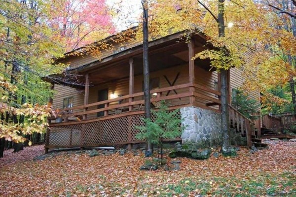 [Image: Secluded and Spacious Mountain Home~Otter's Den]