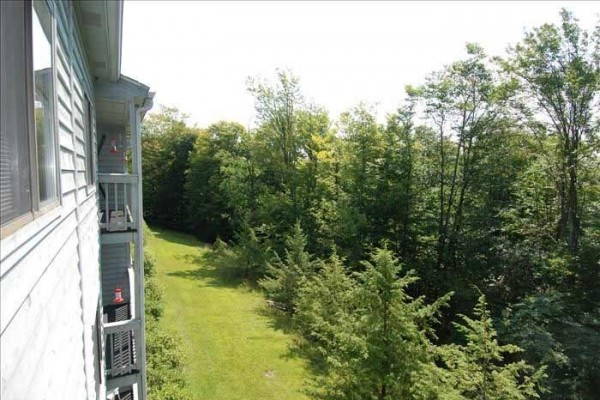 [Image: Amazingly Affordable Lodging in the Center of Canaan Valley!]