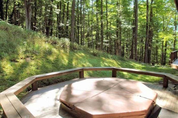 [Image: Two Stories of Comfort-15 Acres of Privacy. No Wonder the Eagle Landed Here!]
