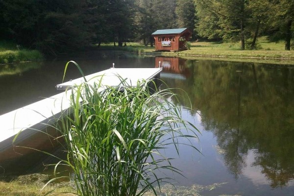 [Image: Charming 1890's Farmhouse with Pond &amp; Lots of Wildlife on 34 Acres]